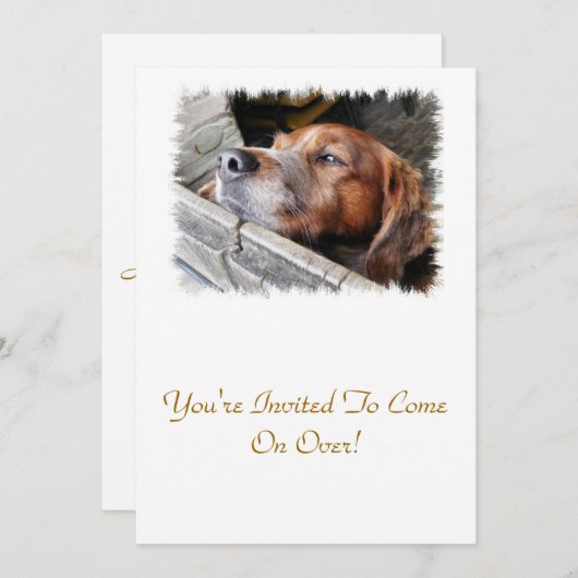 HUNDE EINLADUNG (Vorne/Hinten)