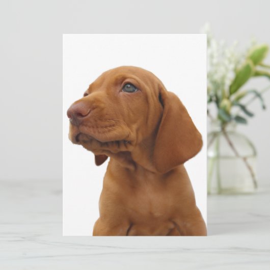 Hunde-Einladung Einladung (Stehend Vorderseite)