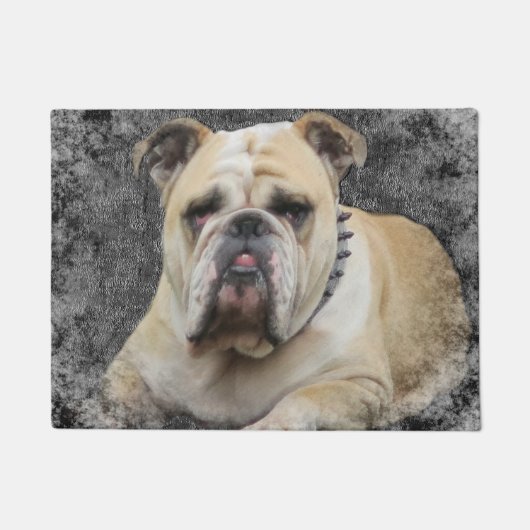 Hunde, englische Bulldogge, grimmig aussehend Fußmatte (Vorderseite)
