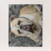 Hunde, englische Bulldogge, grimmig aussehend Puzzle (Vertikal)