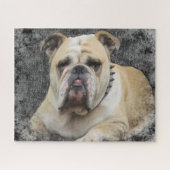 Hunde, englische Bulldogge, grimmig aussehend Puzzle (Horizontal)