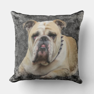 Hunde, englischer Bulldogge, grimmig aussehend, ki Kissen