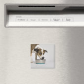Hunde essen aus der Schüssel Magnet (In Situ (Geschirrspüler))