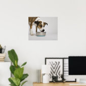 Hunde essen aus der Schüssel Poster (Heimbüro)