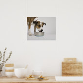 Hunde essen aus der Schüssel Poster (Küche)