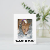 Hunde essen Matratze. Schlechter Hund. Postkarte (Stehend Vorderseite)