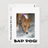 Hunde essen Matratze. Schlechter Hund. Postkarte (Vorne/Hinten)
