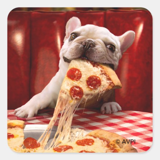 Hunde essen Pizza Slice Quadratischer Aufkleber (Vorderseite)