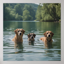 Hunde Familie Schwimmen im See - Ruhe Natur Art
