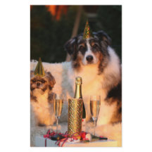 Hunde feiern neues Jahr