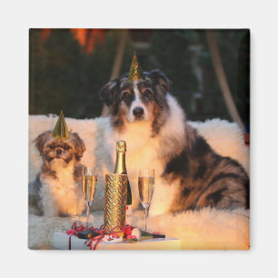 Hunde feiern neues Jahr Magnet