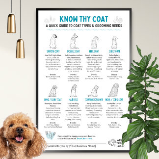 Hunde Felltypen Diagramm - Wandraum für Hundefrise Poster