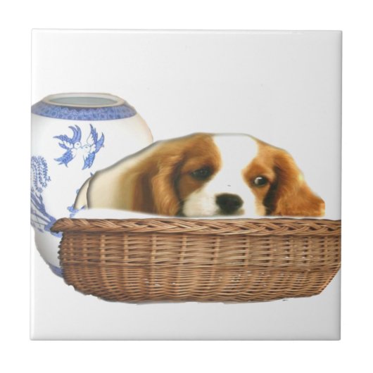 Hunde Fliese (Vorderseite)