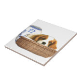 Hunde Fliese (Seite)