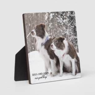 Hunde-Foto-Andenken Fotoplatte