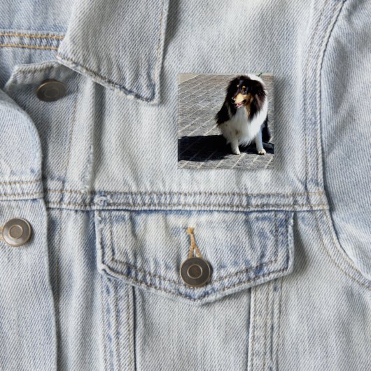 Hunde-Foto Button (Beispiel)