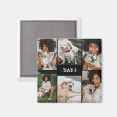 Hunde-Foto-Collage mit Monogramm Magnet (Vorderseite/Rückseite)