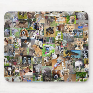 Hunde-Foto-Collage, Mousepad