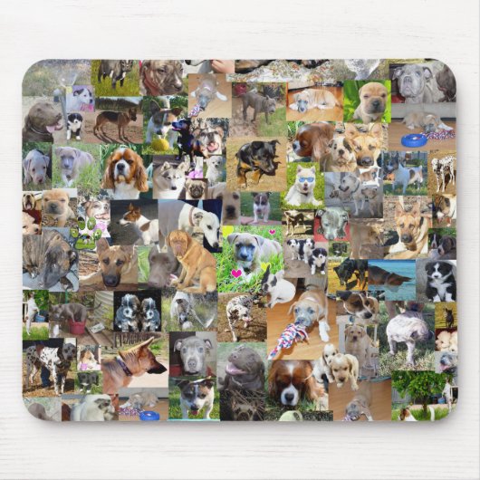 Hunde-Foto-Collage, Mousepad (Vorne)