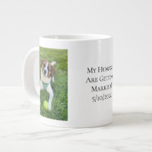 Hunde-Foto-Engagement: Mein Mensch heiratet