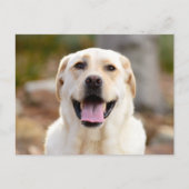 Hunde-Foto Feiertagspostkarte (Vorderseite)