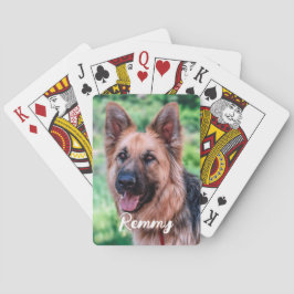 Hunde Foto - Foto für Haustiere - Hunde über Spielkarten