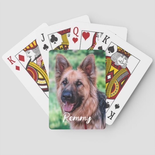 Hunde Foto - Foto für Haustiere - Hunde über Spielkarten (Rückseite)