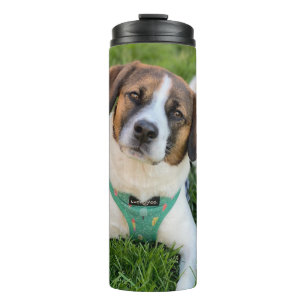 Hunde-Foto Foto hinzufügen Thermosbecher