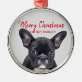 Hunde Foto frohe Weihnachten, Ihr Junge oder Mädch Ornament Aus Metall (Vorne)
