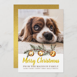 Hunde Foto Frohe Weihnachtsfamilie Name Gold Foil Feiertagskarte