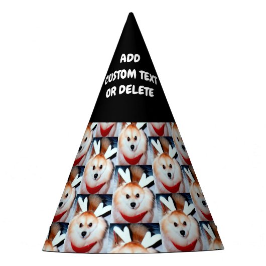 Hunde Foto GeburtstagsDIY Partyhütchen (Vorderseite)