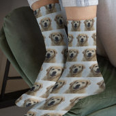 Hunde Foto Golden Retriever Puppy Socken