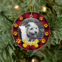 Hunde Foto, Haustiere, Knochen, Pfoten, Büffel Kar