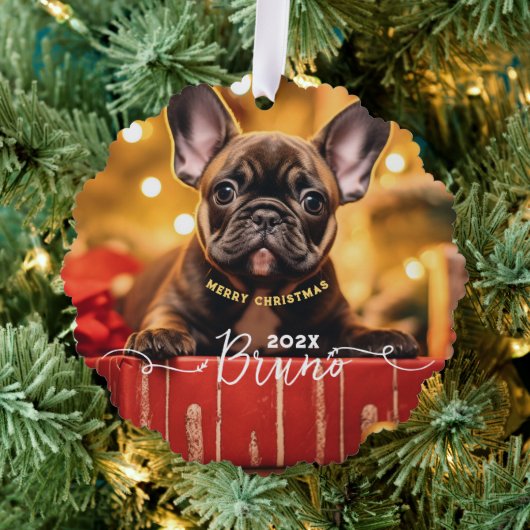 Hunde Foto Individuelle Name und Text Ornament Karte (Insitu (Baum))