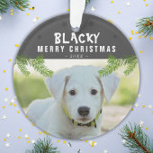 Hunde Foto Kiefernzweig Schneeflocken Frohe Weihna Ornament