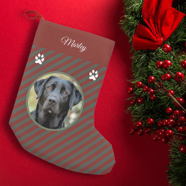 Hunde-Foto Kleiner Weihnachtsstrumpf