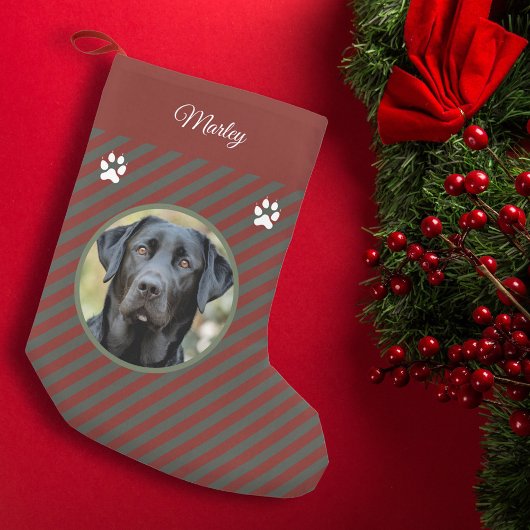 Hunde-Foto Kleiner Weihnachtsstrumpf