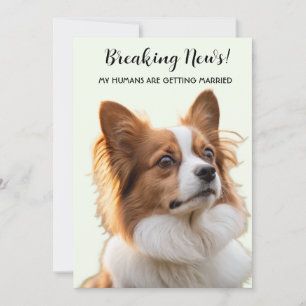 Hunde-Foto: Meine Menschen heiraten Einladung
