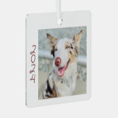 Hunde Foto Metal Square Ornament Aus Metall (Vorderseite Rechts)