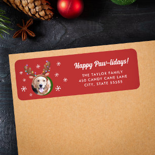 Hunde Foto mit Rentier Antler Hat Weihnachten