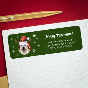 Hunde Foto mit Weihnachtsmann Antler Hat Weihnacht