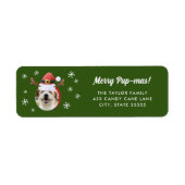 Hunde Foto mit Weihnachtsmann Antler Hat Weihnacht (Vorne)