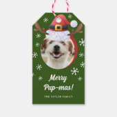 Hunde Foto mit Weihnachtsmann Antler Hat Weihnacht Geschenkanhänger (Vorderseite)