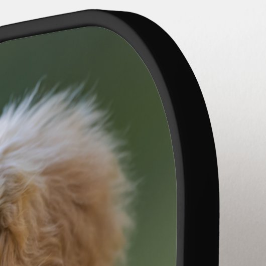 Hunde-Foto Moderner Name für Monogramm-Skript, ben Pickleball Schläger (Linke Seite)