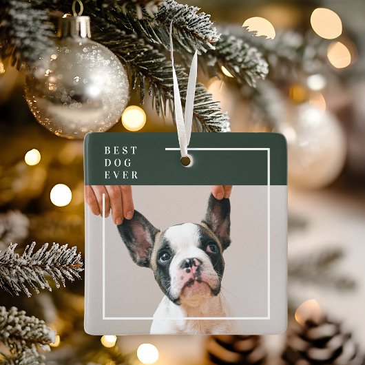 Hunde-Foto-Ornament | Bester Hund überhaupt Modern Keramikornament