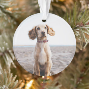 Hunde Foto Ornament Geschenk für Familienweihnacht
