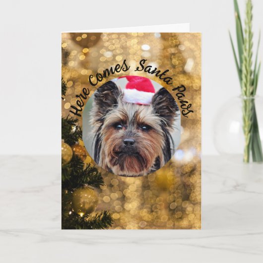 Hunde Foto Personalisieren Name Weihnachtskarte Feiertagskarte (Vorderseite)