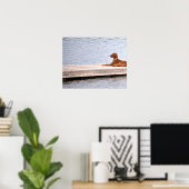 Hunde-Foto-Plakat Poster (Heimbüro)