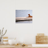Hunde-Foto-Plakat Poster (Küche)