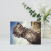Hunde Foto Postkarte (Stehend Vorderseite)